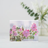 ナナバラ ポストカード (スタンド正面)