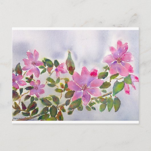 ナナバラ ポストカード (正面)