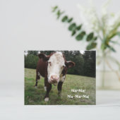 ナナ！牛おもしろいが舌を出す ポストカード (スタンド正面)