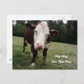 ナナ！牛おもしろいが舌を出す ポストカード (正面/裏面)