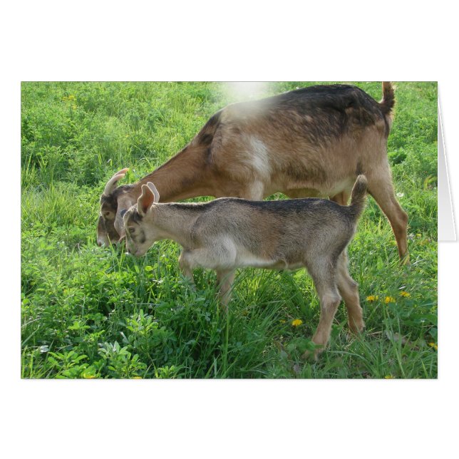 ナニーとキッド (正面横)