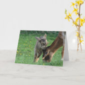 ナニーとキッド カード (黄色い花)