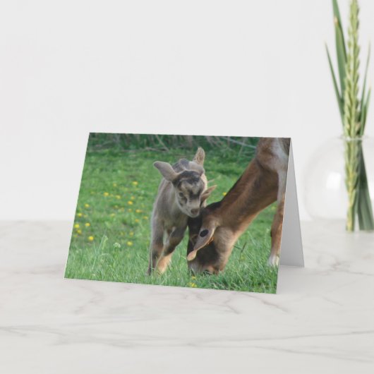 ナニーとキッド カード (正面)