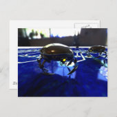 ナノボッツはがき ポストカード (正面/裏面)