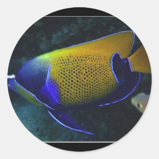 ナバクサス ラウンドシール