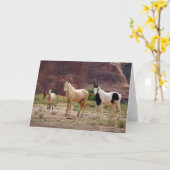 ナバジョウマ走ーズフリーオンザキャニオンフロア カード (黄色い花)