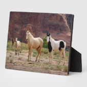 ナバジョウマ走ーズフリーオンザキャニオンフロア フォトプラーク (側面)