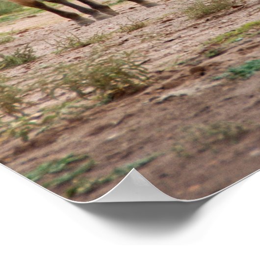 ナバジョウマ走ーズフリーオンザキャニオンフロア ポスター (角)