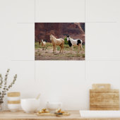 ナバジョウマ走ーズフリーオンザキャニオンフロア ポスター (キッチン)