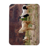 ナバジョウマ走ーズフリーオンザキャニオンフロア マグネット (縦)