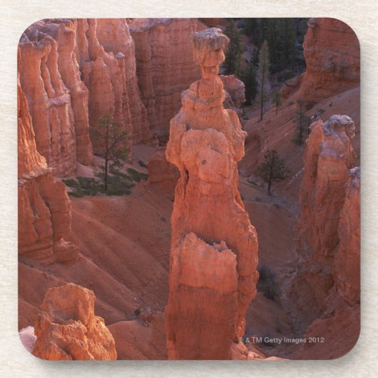 ナバホー人の道のトールのハンマーのhoodoo コースター (正面)