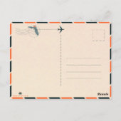 ナバラビーチフロリダトロピカルパームツリー1950s ポストカード (裏面)