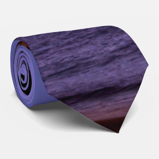 ナバラフロリダ稲妻ストームネックタイ ネクタイ (ロール)