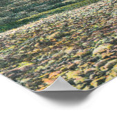 ナパカウンティブリッジナパのビュー， CA ポスター (角)