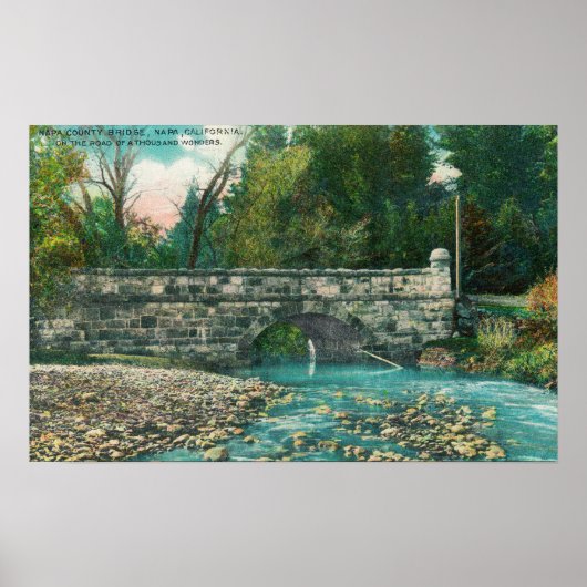 ナパカウンティブリッジナパのビュー， CA ポスター (正面)