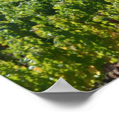 ナパソノマバレーワインカントリー ポスター (角)