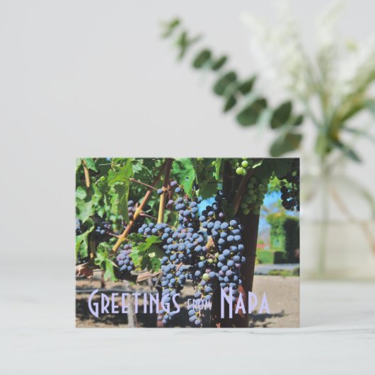 ナパバレーカリフォルニアからの挨拶 ポストカード (スタンド正面)