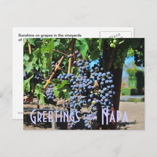 ナパバレーカリフォルニアからの挨拶 ポストカード (正面/裏面)