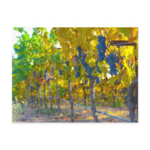 ナパバレーカリフォルニアのブドウ園