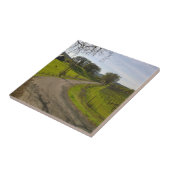 ナパバレーカリフォルニアの美しいブドウ園 タイル (側面)