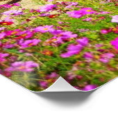 ナパバレービネヤードウィズコスモス ポスター (コーナー)