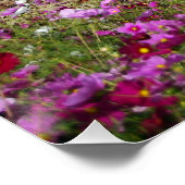 ナパバレービネヤードウィズコスモス ポスター (コーナー)