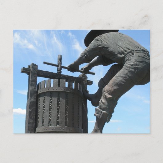 ナパバレーポストカード ポストカード (正面)