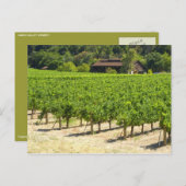 ナパバレーワイナリーヴィネヤード ポストカード (正面/裏面)