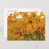 ナパバレーワインカントリーヴィンヤード ポストカード (正面/裏面)