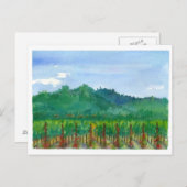 ナパバレーヴィネヤードレッドローゼウォーターカラー絵画ズ ポストカード (正面/裏面)