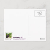 ナパバレーヴィンヤードはがき! ポストカード (裏面)