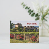 ナパバレー、カリフォルニアの夏のブドウ園 ポストカード (スタンド正面)