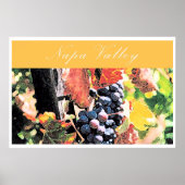 ナパバレー ポスター (正面)