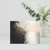 ナパリコースト州パークサンハワイ ポストカード (スタンド正面)