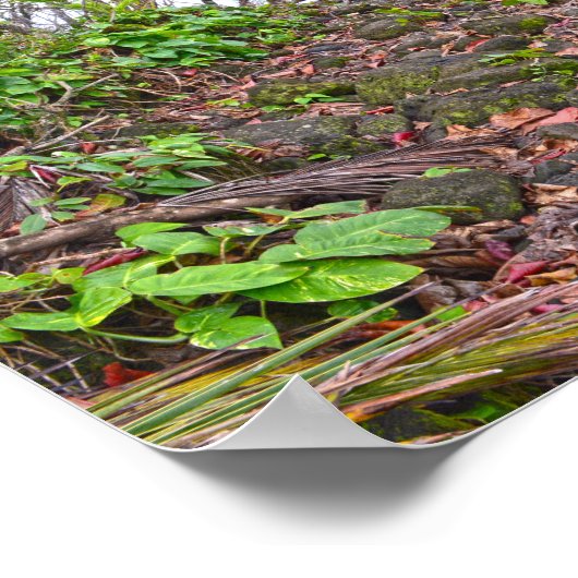 ナパリ海岸,カウアイのカララウのトレッキング ポスター (角)