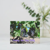 ナパヴィネヤードブズオンつる植物 ポストカード (スタンド正面)