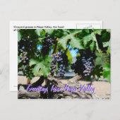 ナパヴィネヤードブズオンつる植物 ポストカード (正面/裏面)