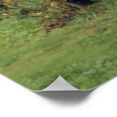 ナパヴィンヤーズのポスター ポスター (角)