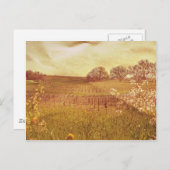 ナパ素朴バレーカリフォルニアのブドウ園 ポストカード (正面/裏面)