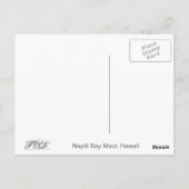 ナピリ湾 ポストカード (裏面)