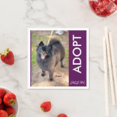 ナプキン – 治療 スタンダードカクテルナプキン (インサイチュ)