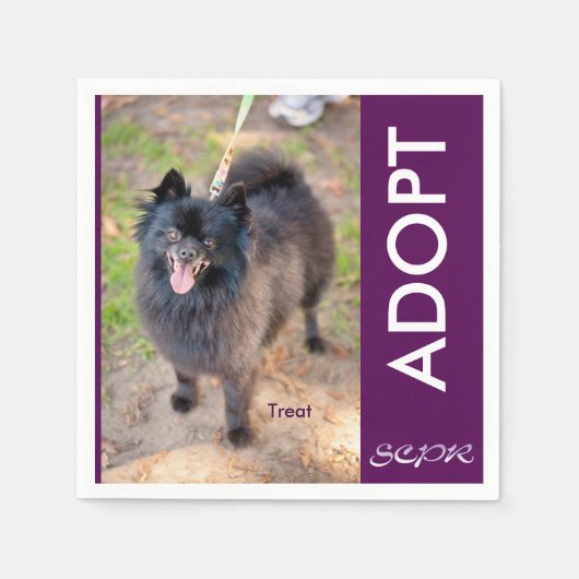 ナプキン – 治療 スタンダードカクテルナプキン (正面)