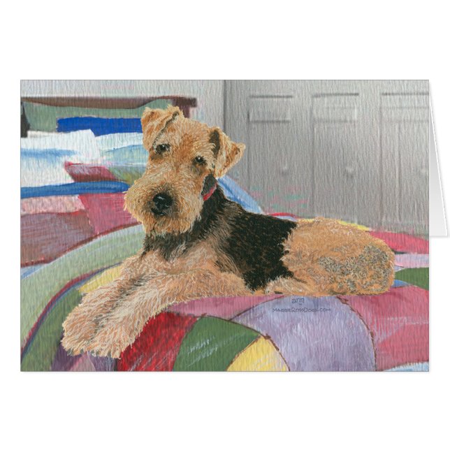 ナプタイム (正面横)