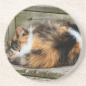 ナプタイム コースター (正面)