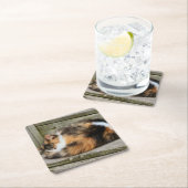 ナプタイム スクエアペーパーコースター (インサイチュ)