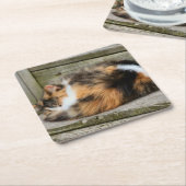 ナプタイム スクエアペーパーコースター (アングル)