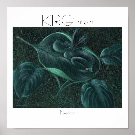 ナプタイム ポスター (正面)