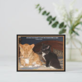 ナプタイム！ ポストカード (スタンド正面)