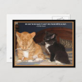 ナプタイム！ ポストカード (正面/裏面)