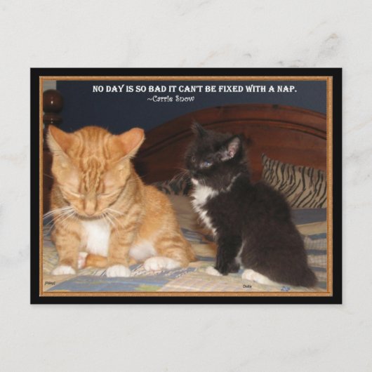 ナプタイム！ ポストカード (正面)